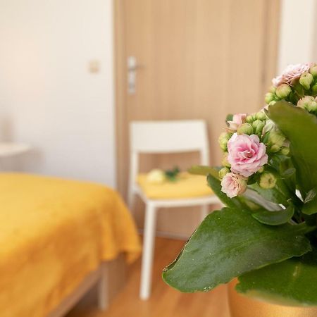 Apartment Nik - Cosy And Stylish Ντουμπρόβνικ Εξωτερικό φωτογραφία